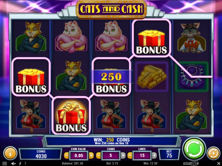 Link cats and cash playn go slot game hacked